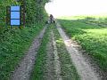 2010-05-03 07 M